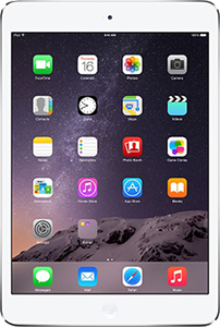iPad mini 1