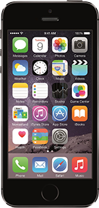 iPhone 5S